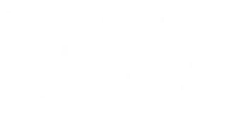 Stake.us logo